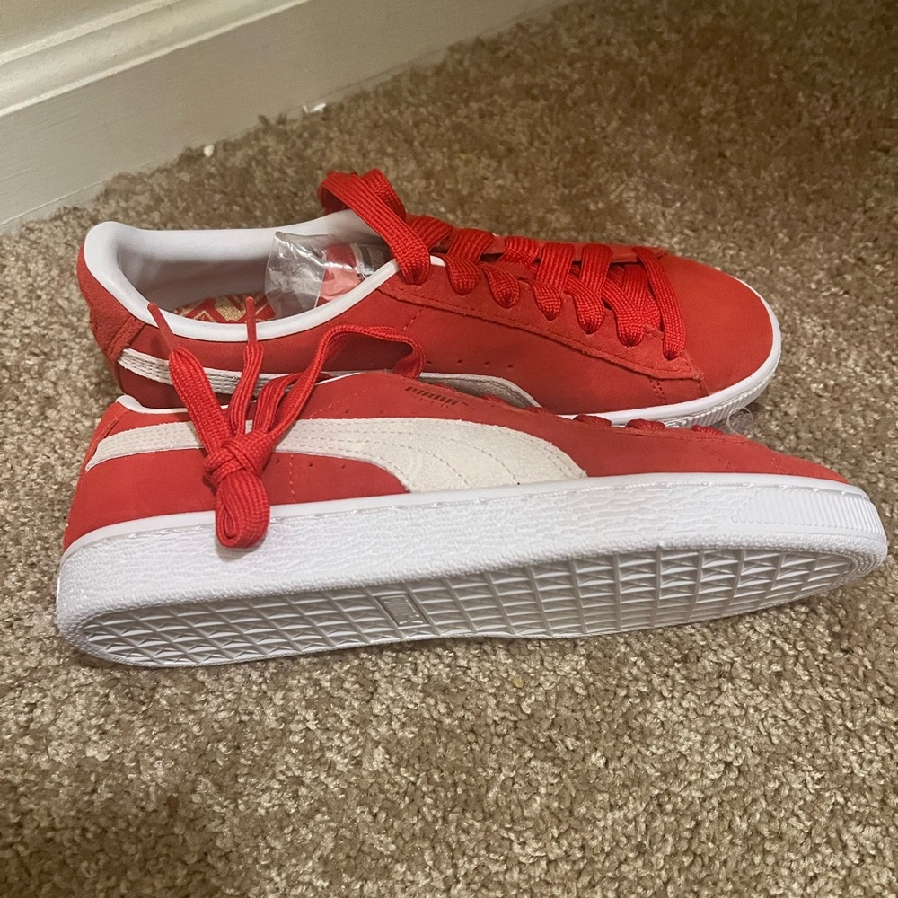 Red Puma - Picture 2 of 3